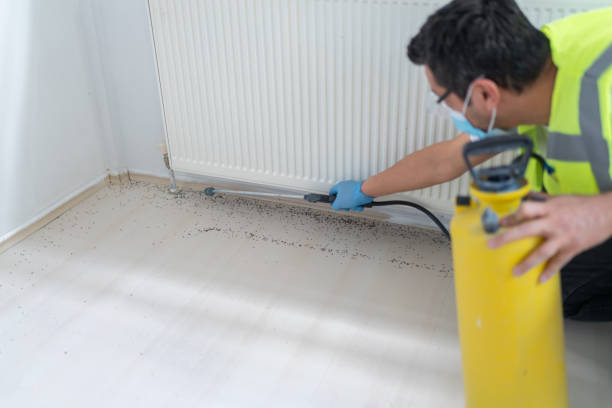 Trusted Martinsville, VA Pest Control Experts